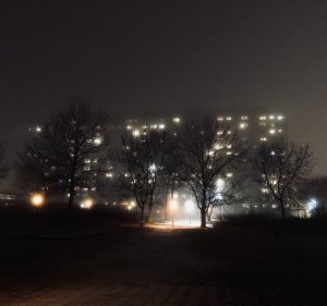 A4297286-17CE-46C7-AB87-E3FF457C371E.jpeg