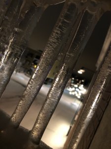 1D27C556-AC00-4F6C-A362-AF19CEBC87C8.jpeg
