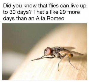 A140F42F-C2E6-4403-859F-6C48F17948FD.jpeg