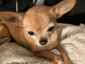 IMG_20171201_205814.jpg