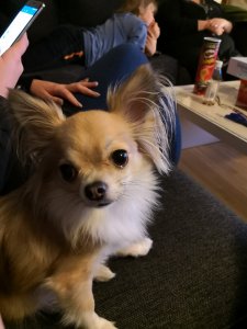IMG_20171208_212853.jpg