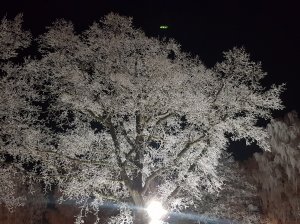 20180122_070125.jpg