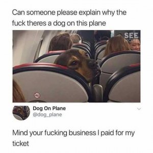 DCA9B1EC-2419-40D8-8DA9-BB54429EC7A8.jpeg