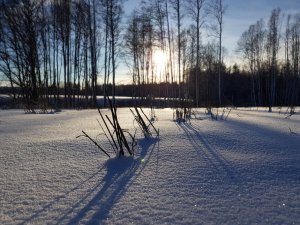 20180130_1.jpg