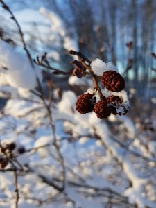 20180130_3.jpg
