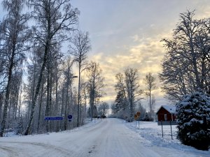 A08240E6-C510-4B5D-8766-0DBFA937B364.jpeg