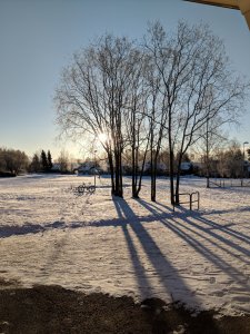 IMG_20180205_091324.jpg