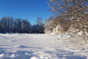 20180205_5.jpg