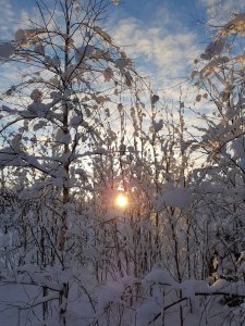 20180207_6.jpg