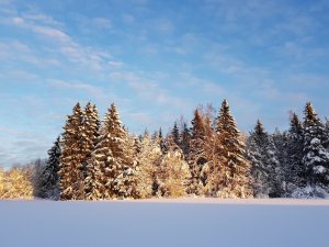 20180207_7.jpg