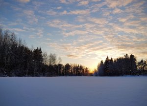 20180207_8.jpg