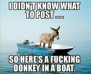 5DFADFF2-4B75-4568-B59D-0A0F13ECE333.jpeg