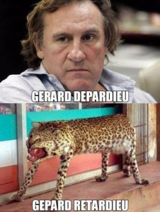 13C544B4-893D-490C-83A9-040C7AE9A4EF.jpeg