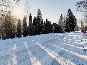 1F9976E4-D064-49E9-BCD3-D7818CB2CB38.jpeg