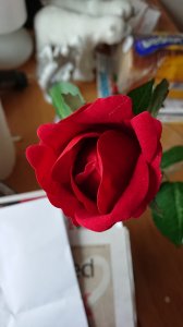 DSC_0006.JPG