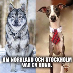 FB_IMG_1519567159267.jpg