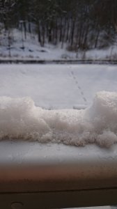 DSC_0020.JPG
