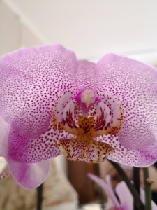 IMG_20180227_145238.jpg