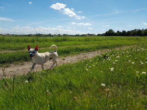 20170618_154147.jpg