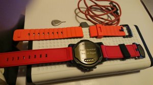 nixon bak.JPG