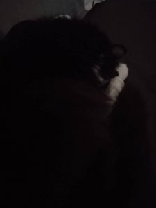 IMG_20180304_091652.jpg