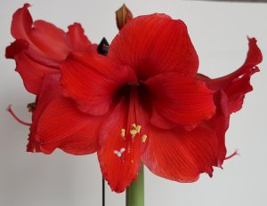 20180214_9.jpg