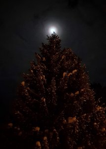 20180225_12.jpg