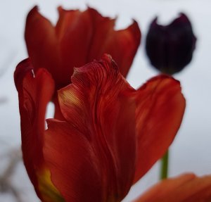 20180316_13.jpg
