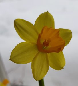 20180316_14.jpg
