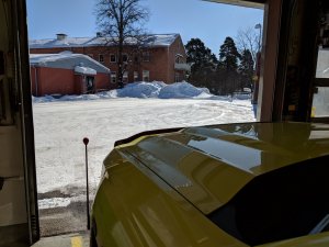 IMG_20180317_102009.jpg