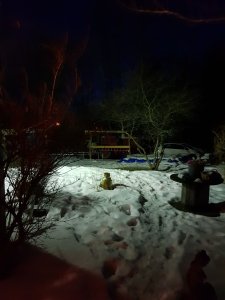 20180323_194602.jpg