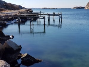 20180330_104528.jpg