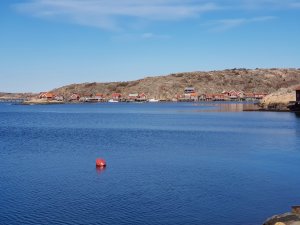 20180330_104737.jpg