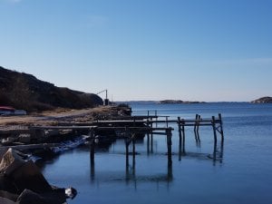 20180330_104543.jpg