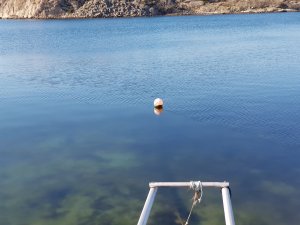 20180330_104531.jpg