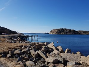 20180330_104459.jpg