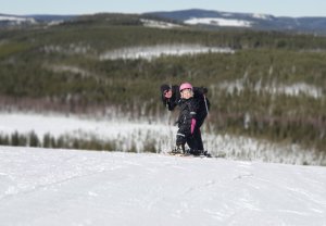 20180402_152210.jpg