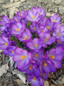 20180414_135927.jpg