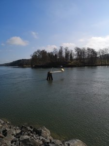 IMG_20180418_165025.jpg