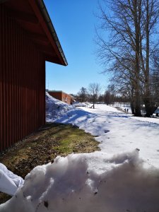 IMG_20180419_122839.jpg
