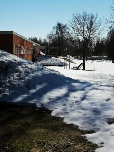 IMG_20180419_122844.jpg