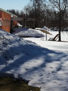 IMG_20180419_122851.jpg