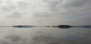 20180419_153540.jpg