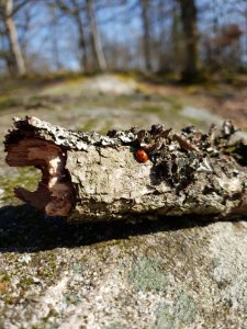 20180419_161256.jpg