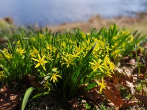 IMG_20180422_142116.jpg