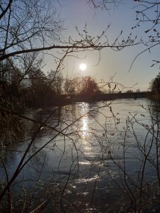Solnedång 0 20180420_184809.jpg