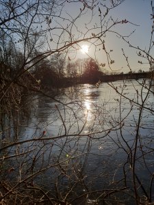 Solnedång 2 20180420.jpg