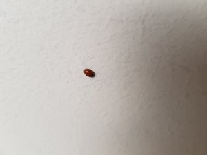 20180418_142212.jpg