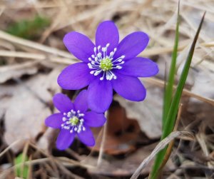 20180420_19.jpg