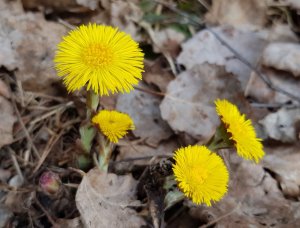 20180420_20.jpg